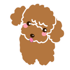 I love Poodle.