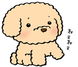 KUU of a toy poodle sticker #6083810