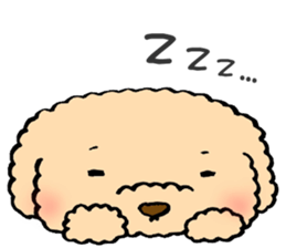 KUU of a toy poodle sticker #6083812