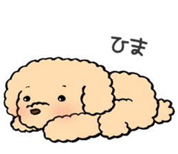 KUU of a toy poodle sticker #6083815