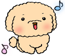 KUU of a toy poodle sticker #6083817
