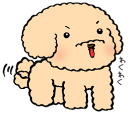KUU of a toy poodle sticker #6083819