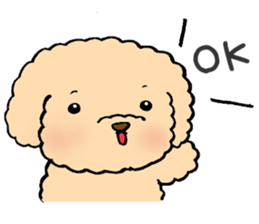 KUU of a toy poodle sticker #6083821