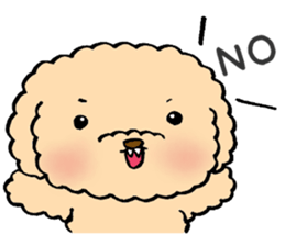 KUU of a toy poodle sticker #6083822