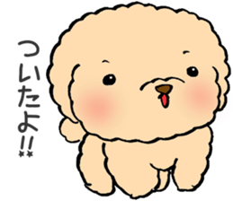 KUU of a toy poodle sticker #6083824