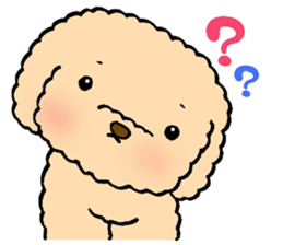 KUU of a toy poodle sticker #6083827