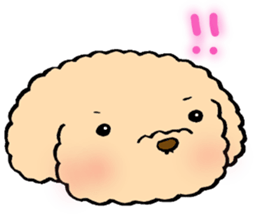 KUU of a toy poodle sticker #6083828