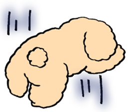 KUU of a toy poodle sticker #6083833