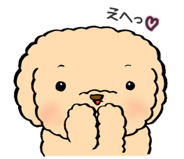 KUU of a toy poodle sticker #6083838