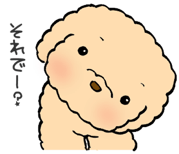 KUU of a toy poodle sticker #6083842