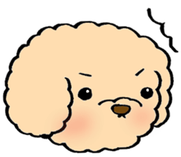 KUU of a toy poodle sticker #6083844