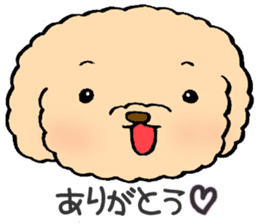 KUU of a toy poodle sticker #6083845