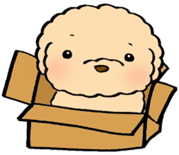 KUU of a toy poodle sticker #6083846