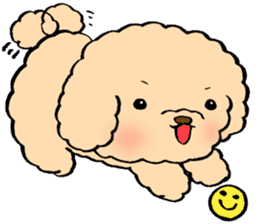 KUU of a toy poodle sticker #6083847