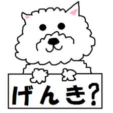 MASAYA sticker #6084500