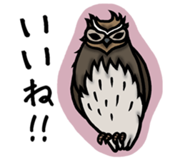 North of Animal sticker #6085008