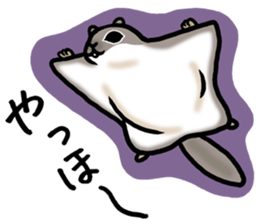 North of Animal sticker #6085013