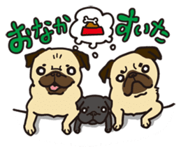 It's same with a pugs every day! sticker #6087399