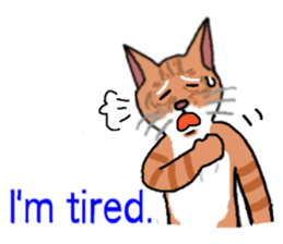 Girl sticker of a Japanese cat(English) sticker #6088243