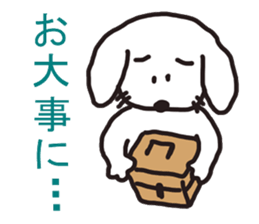 Dog`s one year sticker #6090951
