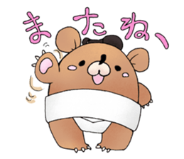 sumo bear~ sticker #6091337