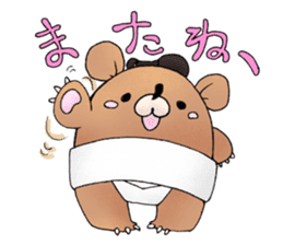 sumo bear~ sticker #6091337