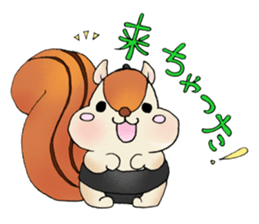 sumo bear~ sticker #6091353
