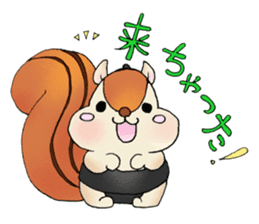 sumo bear~ sticker #6091353