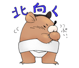 sumo bear~ sticker #6091361
