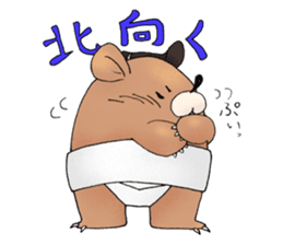 sumo bear~ sticker #6091361