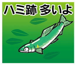 ayu fishing sticker (tomo tsuri sticker) sticker #6093909