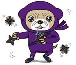 The name of this pug is "Inukichi". sticker #6095393