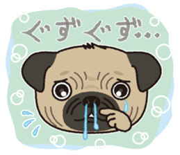 The name of this pug is "Inukichi". sticker #6095414