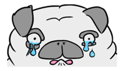 Pug ya sticker #6096457