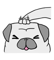 Pug ya sticker #6096483