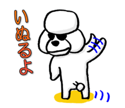 Teku the Poodle Hiroshima Dialect sticker #6097299