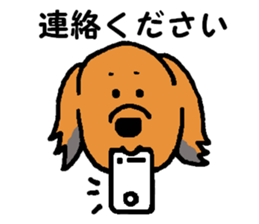 I'm a Miniature Dachshund. sticker #6100399