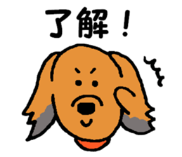 I'm a Miniature Dachshund. sticker #6100402