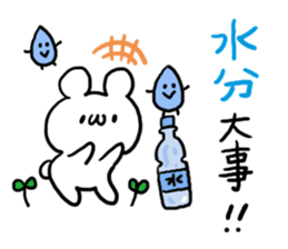 Summer White Bear sticker #6100871