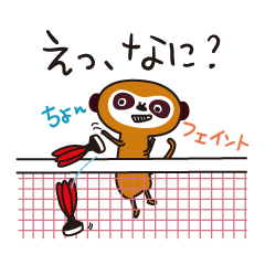 Meerkat  Indiaca club