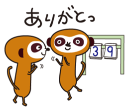 Meerkat  Indiaca club sticker #6102424
