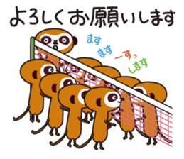 Meerkat  Indiaca club sticker #6102428