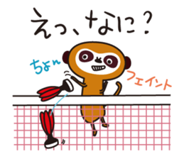 Meerkat  Indiaca club sticker #6102432