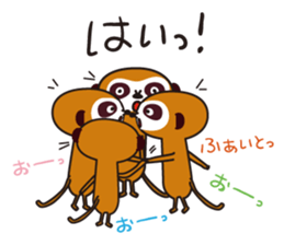 Meerkat  Indiaca club sticker #6102434