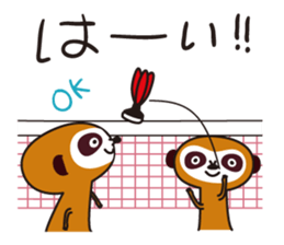 Meerkat  Indiaca club sticker #6102435