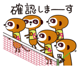 Meerkat  Indiaca club sticker #6102436