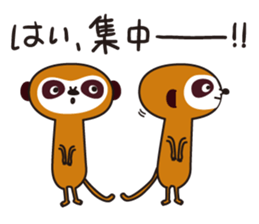 Meerkat  Indiaca club sticker #6102437