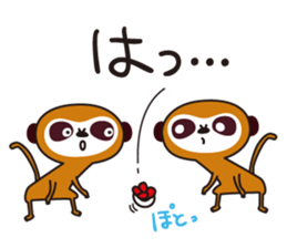 Meerkat  Indiaca club sticker #6102440