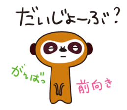 Meerkat  Indiaca club sticker #6102442