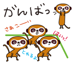 Meerkat  Indiaca club sticker #6102444